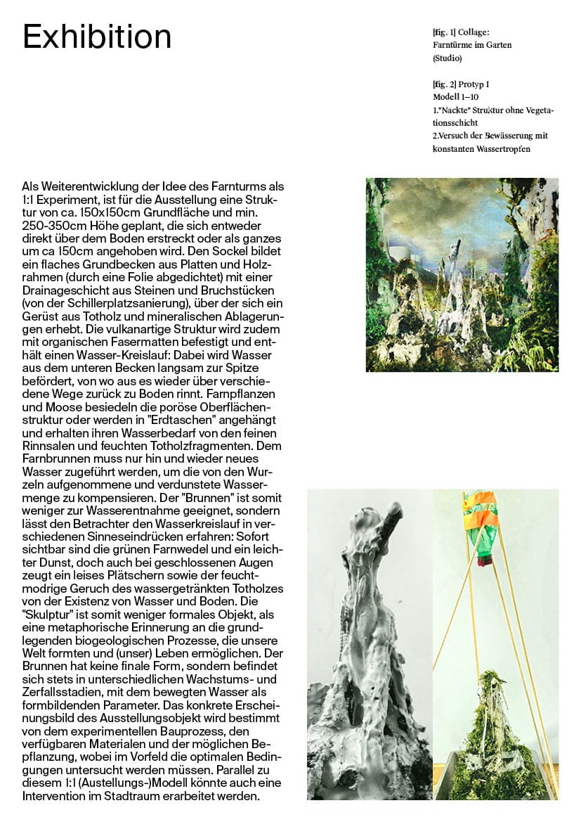 Fern Fountain_Dossier_Klopfer_04